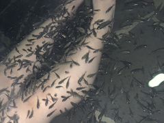 -龙达温泉生态城