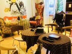 -万小咖.猫咖(中山路天虹店)