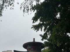 -皇家御河游(紫御湾码头)