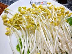 泉水豆芽-晓宇重庆火锅(大唐不夜城店)