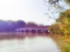 -昆山城市生态森林公园