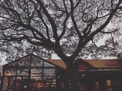 -Cheevit Cheeva(Sirimangkalajarn)