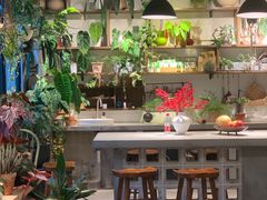 -自由生长植物工作室(深港花卉中心店)