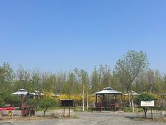 -西青郊野公园