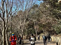 -紫金山山顶公园