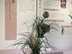 -成都杜甫草堂博物馆