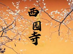 -西园戒幢律寺
