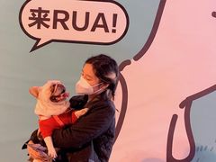 -大洋晶典(东街店)