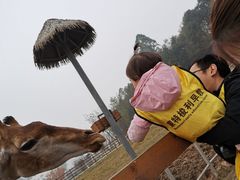 -黄龙溪欢乐田园