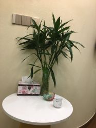 -芳朵美容养生SPA