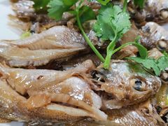 -舒味姜母鸭·沙茶面(湖里店)