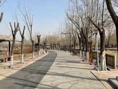 -杨柳青庄园