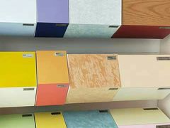 -立邦(武侯区西部专卖店)