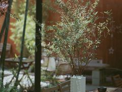 -扫雪煮茶(西村店)