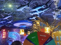 -烟台海昌鲸鲨海洋公园