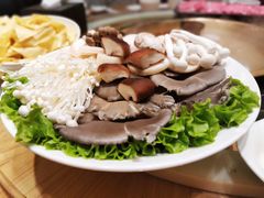 菌菇拼盘-小牛海记潮汕牛肉店(永定路店)