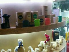 -Gloria Jean's Coffees
