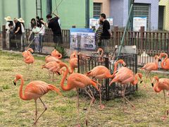-秦皇岛野生动物园