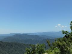 -王顺山国家森林公园