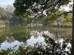 -杭州植物园