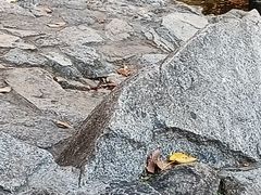 -天津盘山风景名胜区