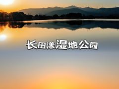 -长田漾湿地公园