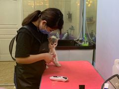 -小呆的宠物店·宠物售卖·宠物寄养(城西店)