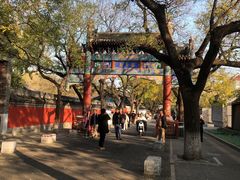 -北京国子监胡同