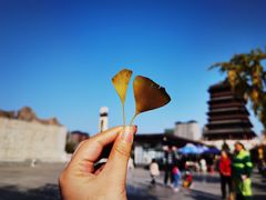 -西安汉城湖景区