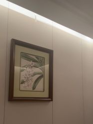 -美丽田园