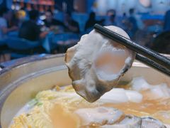 -千岛蚝高压锅生蚝·人参火锅(白云万达店)