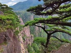 -黄山风景区