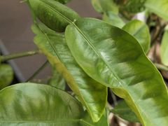 -禾源面馆(文化路四角店)