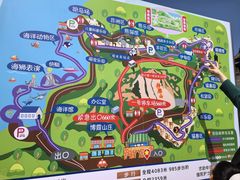-西霞口神雕山野生动物世界