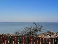 -上海滨江森林公园