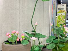 -金茂览秀城