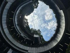 -金虹桥商场