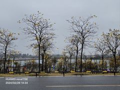 -露天矿生态公园