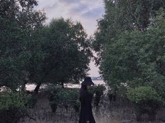 -宝安西湾红树林湿地公园