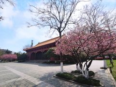 -明故宫遗址公园
