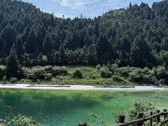 -武陵山森林公园