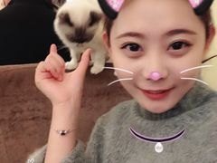 -猫色咖啡·猫咖