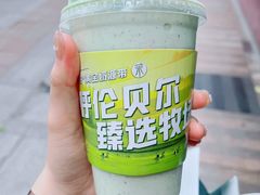 -茉酸奶(春熙路店)