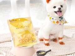 -小呆的宠物店·宠物售卖·宠物寄养(城西店)