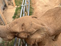 -西霞口神雕山野生动物世界