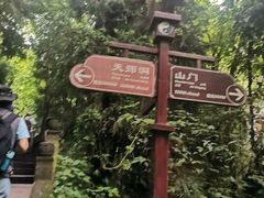 -青城山