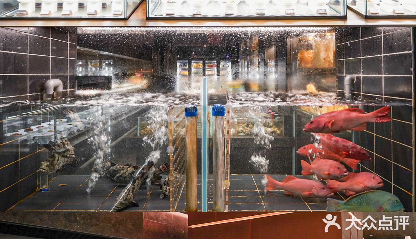 🦀杭州探店‼️首家沉浸式艺术餐厅