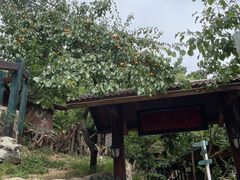 -北京水岸山吧度假村(雁栖镇店)