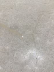 -MIDA蜜哒•科技逆龄美肤连锁