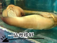 -一品粤珍轩(吴中路店)